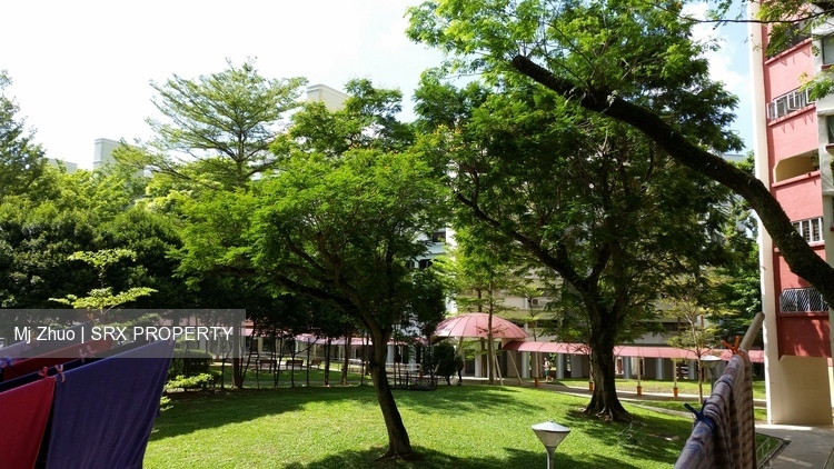 Blk 114 Bukit Batok West Avenue 6 (Bukit Batok), HDB 4 Rooms #212586561